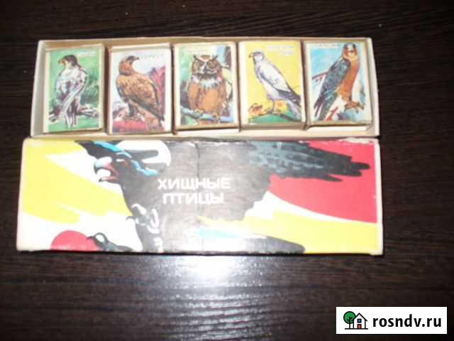 Набор спичек Хищные птицы Великий Новгород - изображение 1