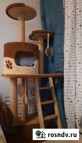 Когтеточка домик для кошки бу Воронеж - изображение 1