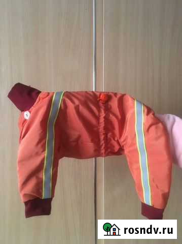 Комбинезон для собаки Невьянск - изображение 1