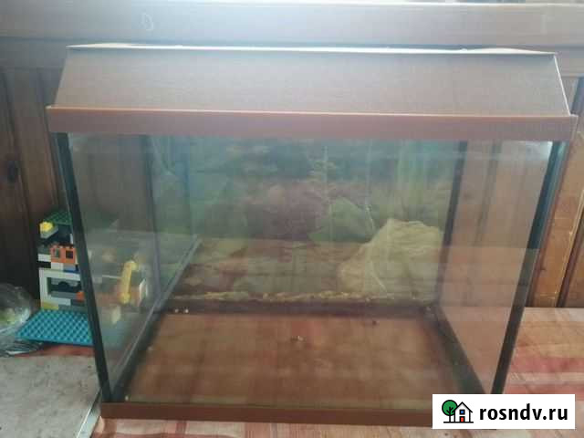 Аквариум Алексин - изображение 1