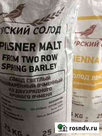 Ячменный солод Белгород