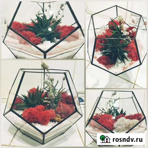 Флорариум Красный Куб Самара - изображение 1