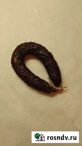 Колбасы из конины Новосибирск - изображение 1