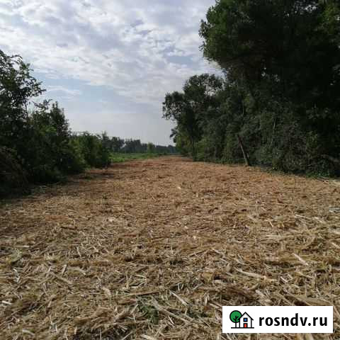 Услуги мульчера.Вырубка и утилизация дкр Тамбов - изображение 1