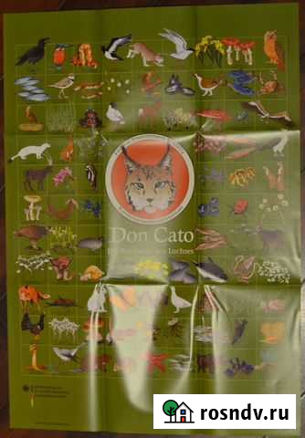 Детские плакаты с животными (на немецком языке) Казань - изображение 1