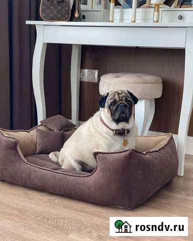 Лежанки для собак и кошек Новосибирск - изображение 1