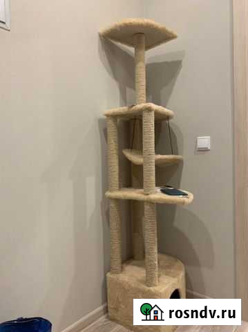 Когтеточка с домиком Нижний Новгород - изображение 1