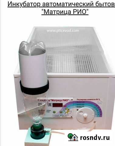 Инкубатор цифровой выводной Новокузнецк - изображение 1