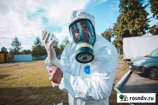 Уничтожение клопов,тараканов,муравьев Красноярск Красноярск - изображение 1