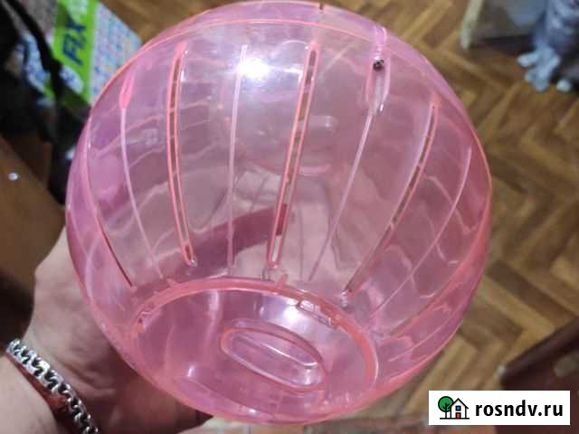 Шар для крыс, и прочих грызунов Прокопьевск - изображение 1