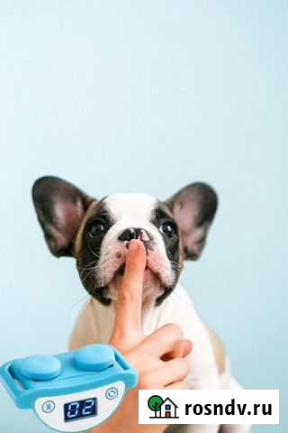 Электронный ошейник, антилай для собак Калуга - изображение 1