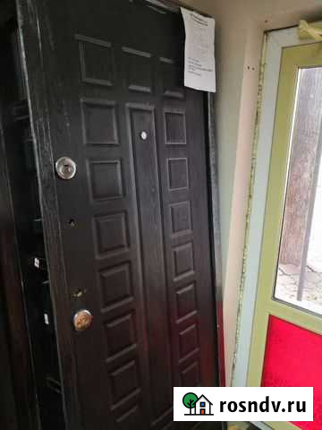 Дверь входная металлическая с зеркалом Биробиджан - изображение 1