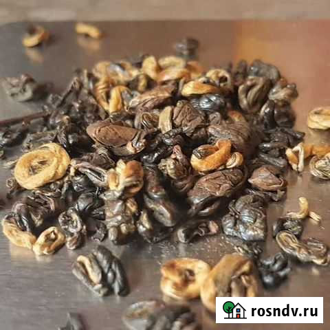 Золотая улитка Цзинь Ло Б 50г Калининград - изображение 1