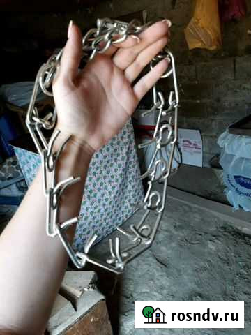 Ошейник с колючками на крупные породы Краснодар - изображение 1