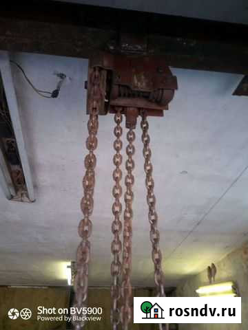 Таль цепная Копейск - изображение 1