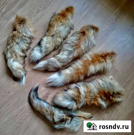 Лисий хвост Камышин - изображение 1