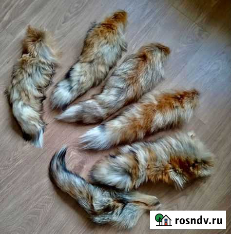 Лисий хвост Камышин - изображение 1