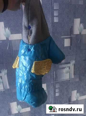 Зимний комбинезон для той терьера Белокуриха - изображение 1