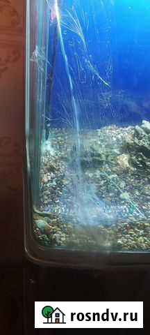 Аквариум с тумбой 300 литров Балашиха - изображение 1