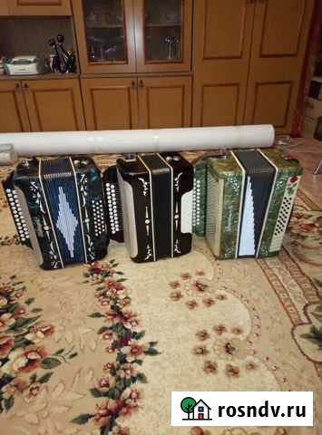 Гармони Каменка - изображение 1