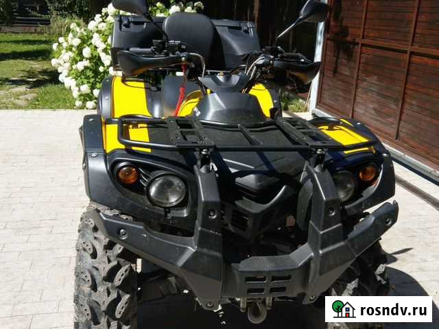 Квадроцикл Стелз 650 леопард Софрино - изображение 1