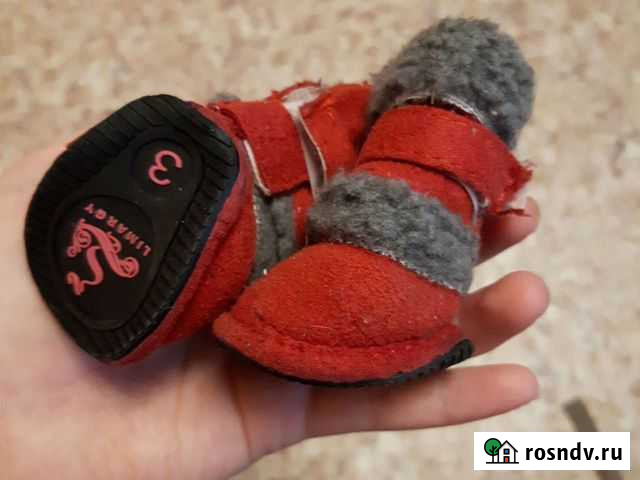 Обувь для маленьких собак 3 размер Набережные Челны - изображение 1