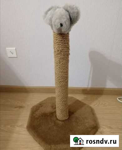 Когтеточка Мурино - изображение 1