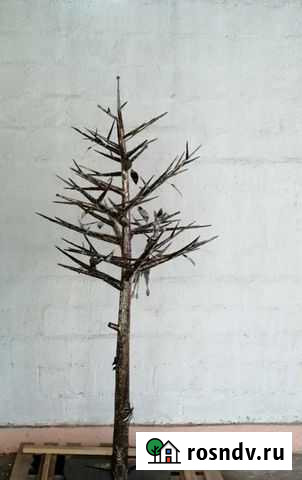 Художественная ковка Владикавказ - изображение 1