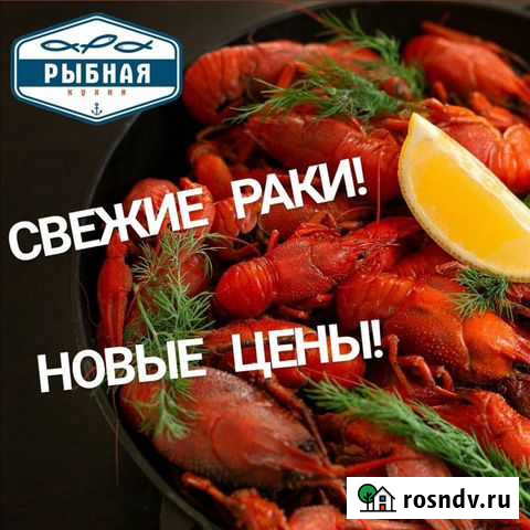 Раки живые на Зорге64 Уфа - изображение 1