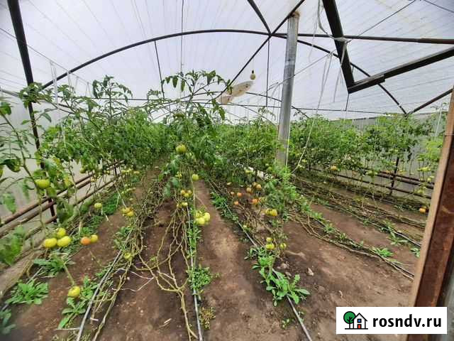 Теплица Нальчик - изображение 1