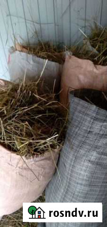 Солома в мешках Большое Село - изображение 1