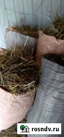 Солома в мешках Большое Село - изображение 1