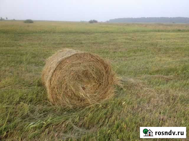 Сено в круглых рулонах Ангарск - изображение 1