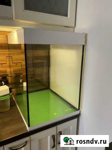 Аквариум террариум Ростов-на-Дону - изображение 1