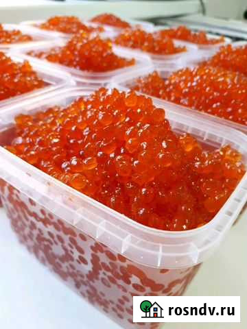 Икра красная в Калининграде 2021 г розн/опт Калининград - изображение 1