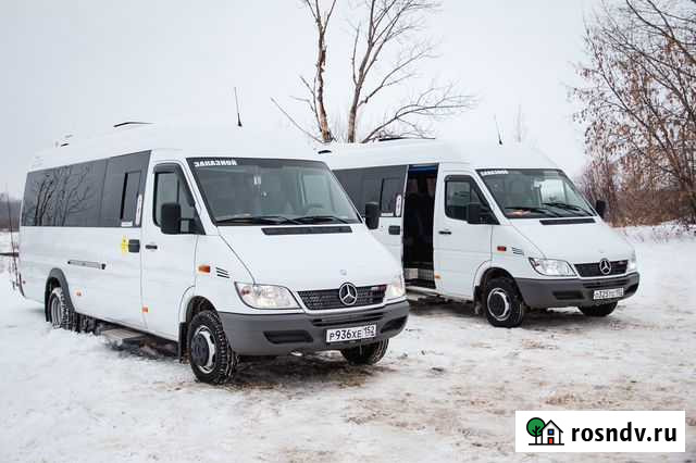 Пассажирские перевозки Бор - изображение 1