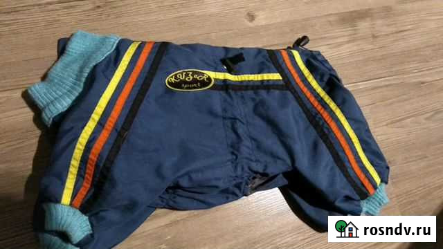 Комбинезон для собаки Пермь - изображение 1