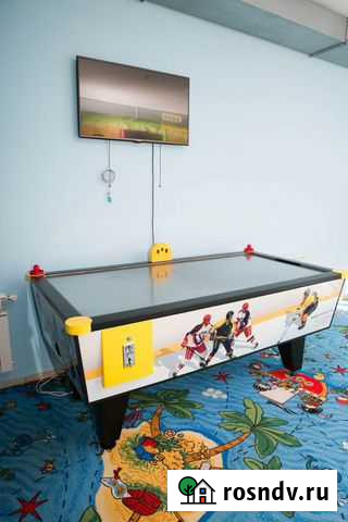 Аттракцион Хоккей Большая Мартыновка - изображение 1