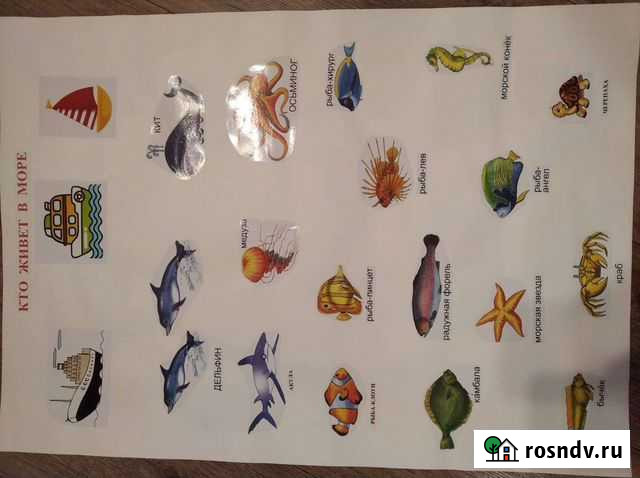 Обучающий плакат Таганрог - изображение 1