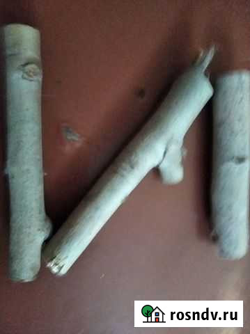 Осиновые колья и пр.из осины Ульяновск - изображение 1