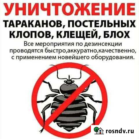 Уничтожение клопов, тараканов Комсомольск-на-Амуре - изображение 1