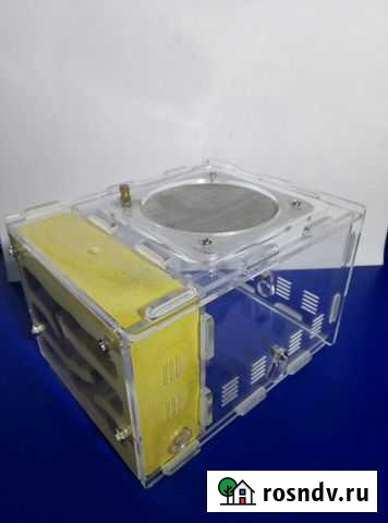 Муравьиная ферма Комсомольск-на-Амуре - изображение 1