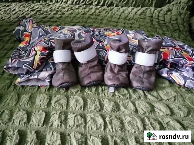 Одежда для собак мелких пород Полысаево - изображение 1