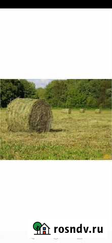 Сено Новокузнецк - изображение 1