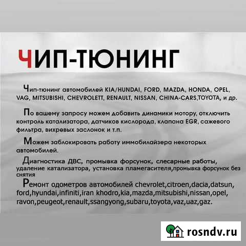 Чип Тюнинг. Диагностика Двс Ишим - изображение 1
