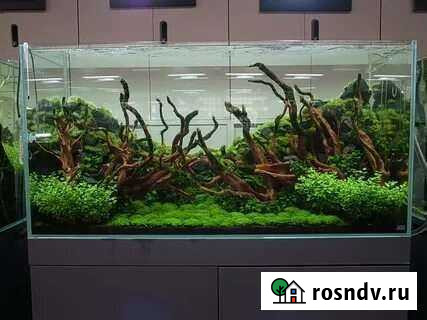 Аквариум 250 Л.Стекло 8 мм Optiwhite Санкт-Петербург - изображение 1