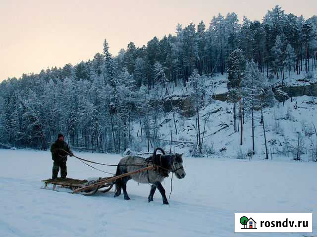 Сани-дровни под лошадь Псков - изображение 1
