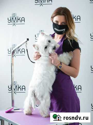 Обучение стрижке собак, курс груминга Омск - изображение 1