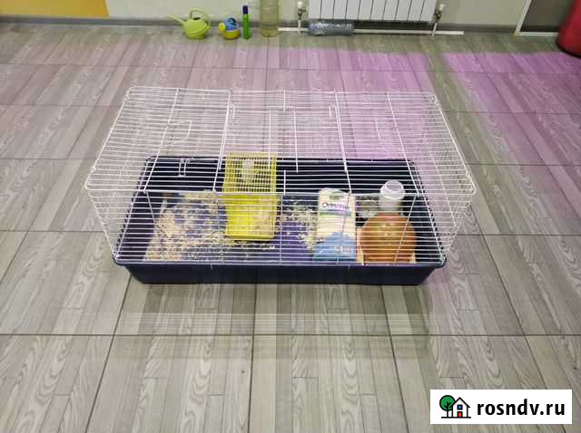 Клетка для грызунов большая Екатеринбург - изображение 1
