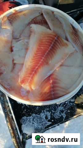 Филе щуки Челябинск - изображение 1